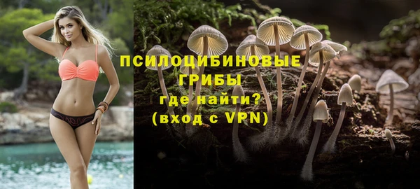 дживик Наволоки