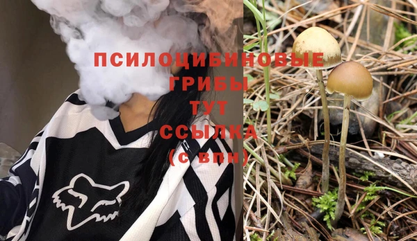 скорость Гусиноозёрск