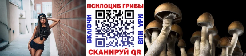 Псилоцибиновые грибы MAGIC MUSHROOMS  Черкесск 