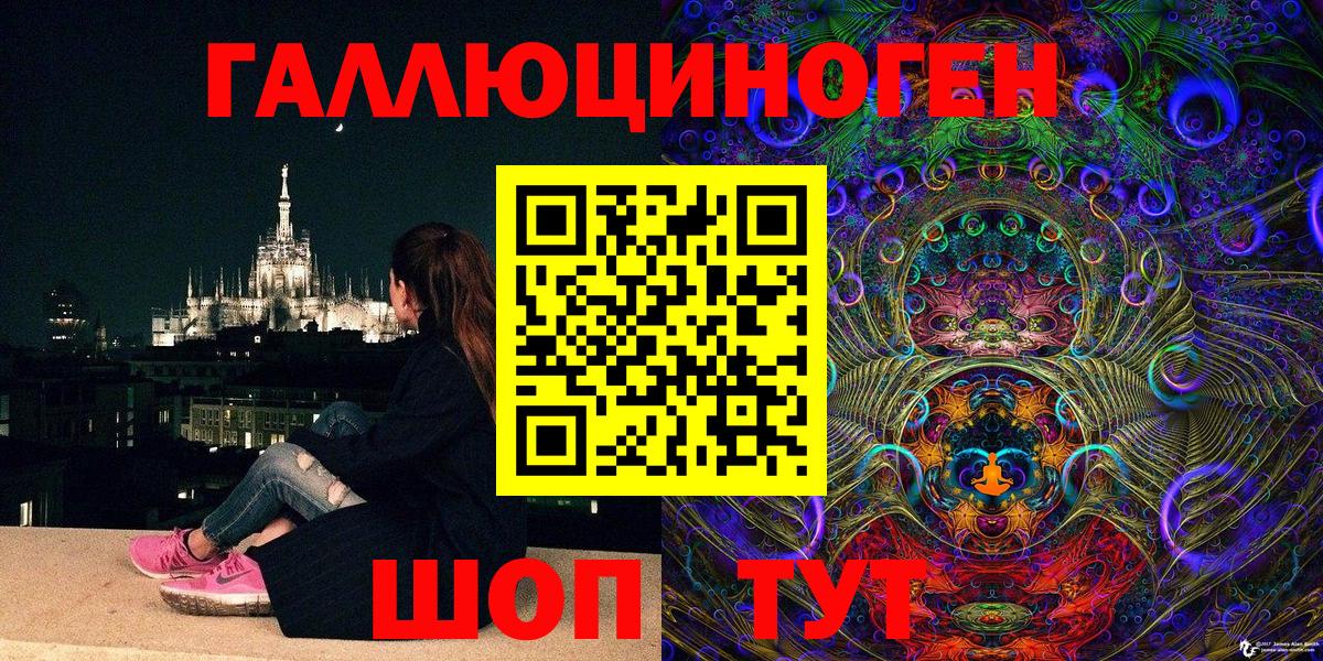 Псилоцибиновые грибы Psilocybine cubensis Черкесск