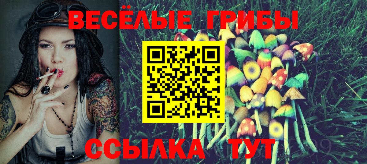 Черкесск  Галлюциногенные грибы Psilocybine cubensis  Вход с VPN  купить  цена  Галлюциногенные грибы прущие грибы 
